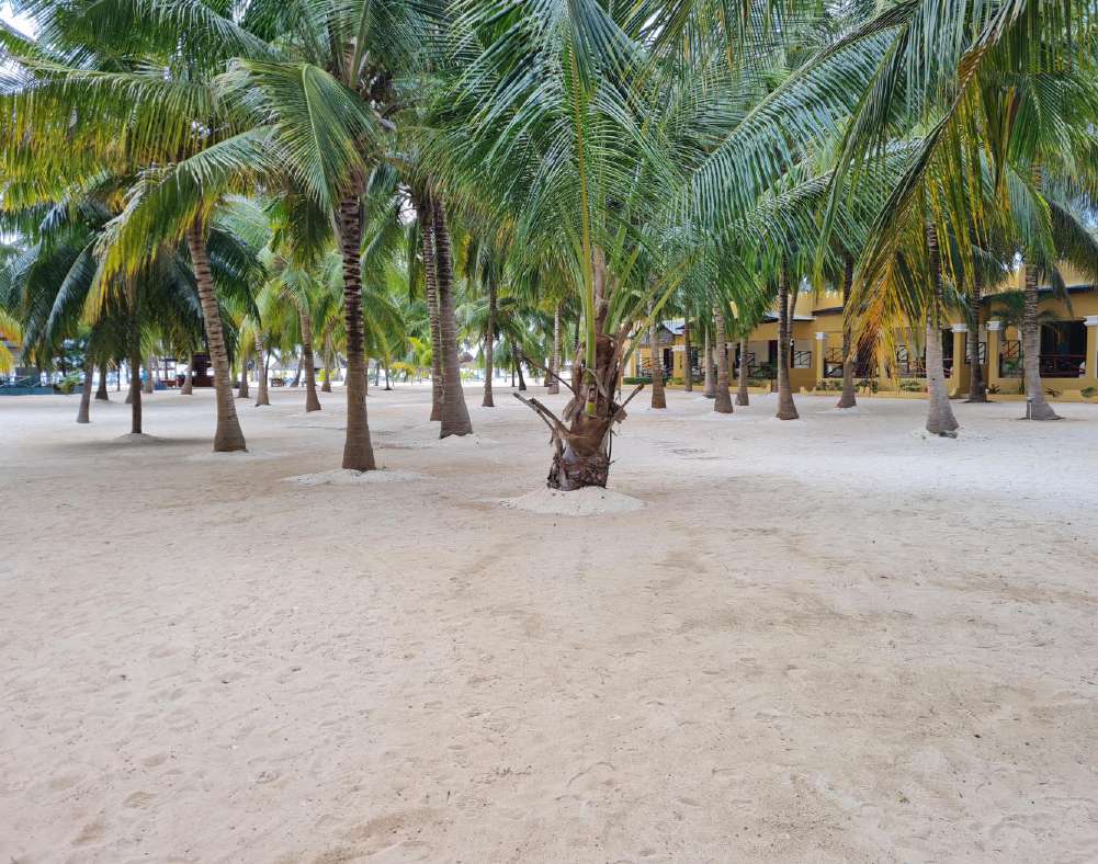Tansania_Sansibar