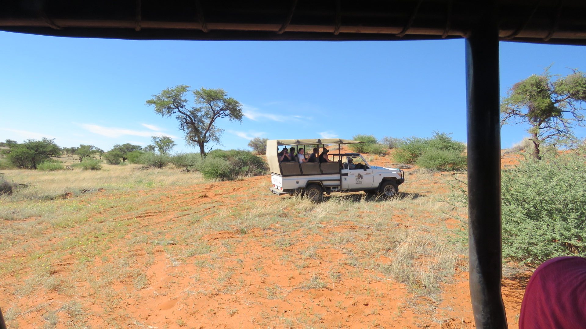 Namibia Pirschfahrt